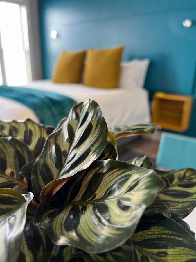 Hermanus Waterfront Apartment No 17 Kültér fotó